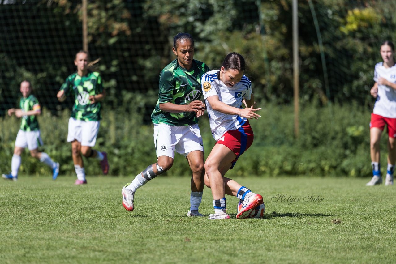 Bild 445 - wBJ Hamburger SV - VfL Wolfsburg : Ergebnis: 5:1